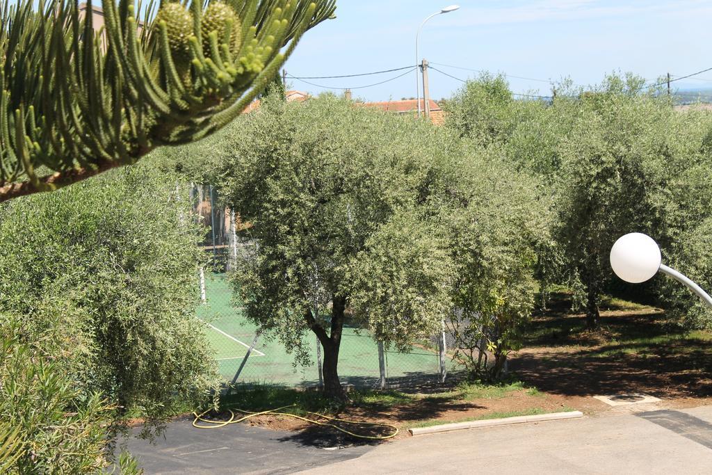 Chambres D'Hotes Le Clos Des Oliviers Sorbo-Ocagnano Экстерьер фото